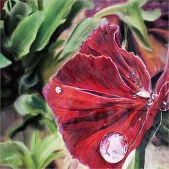 Crimson Raindrop by Gloria S.