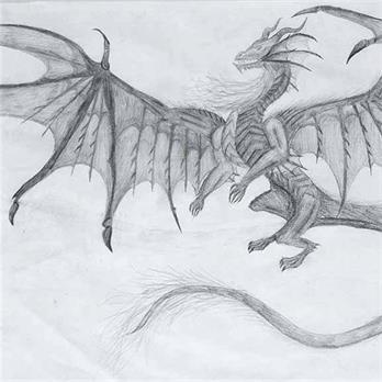 Dragon by Riely H.