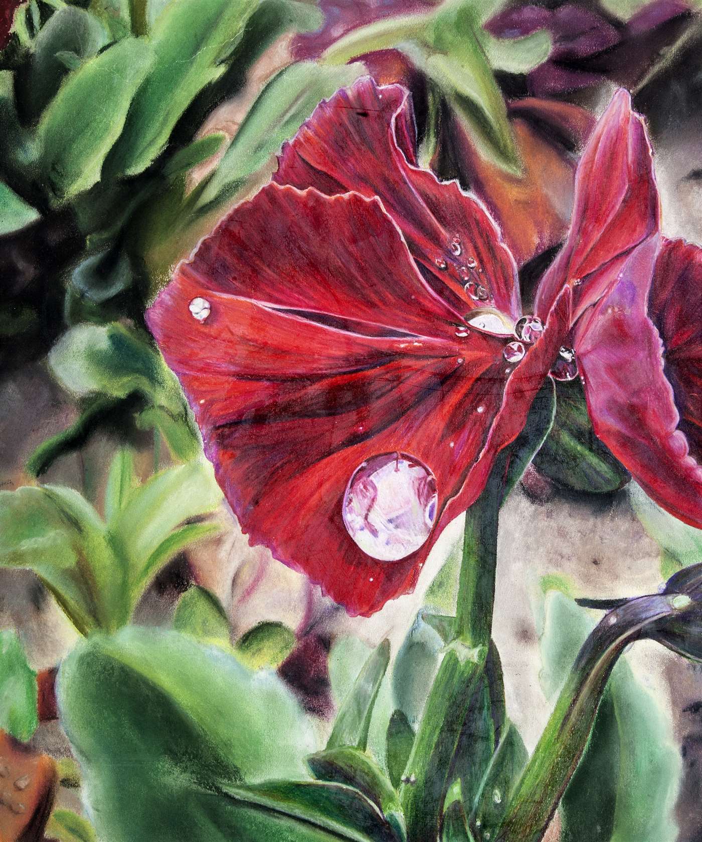 Crimson Raindrop