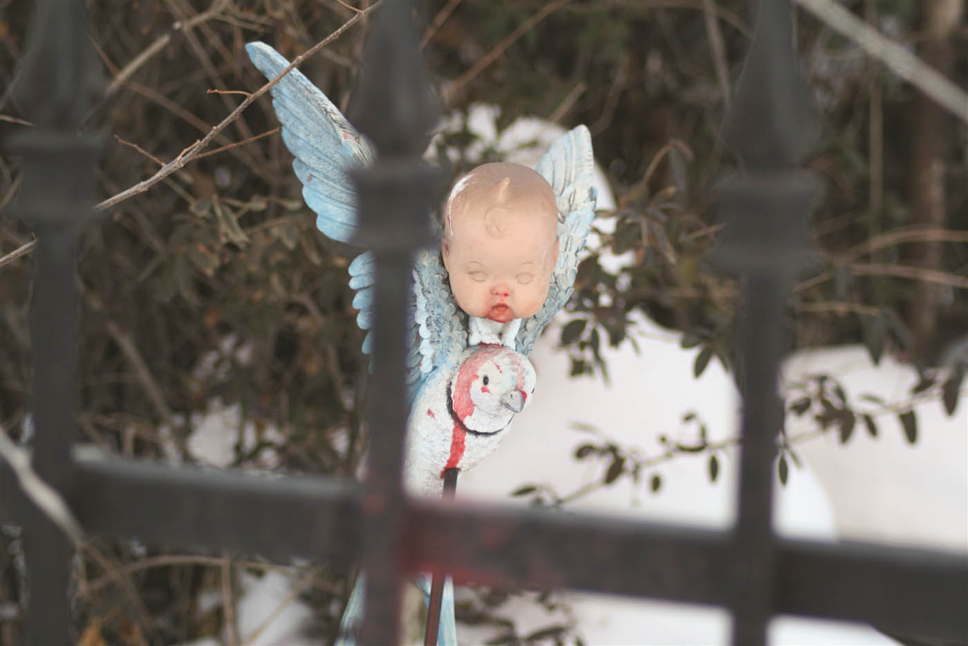 Through the Fence