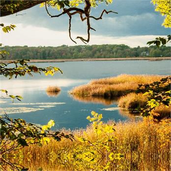 Great Pond in the Fall