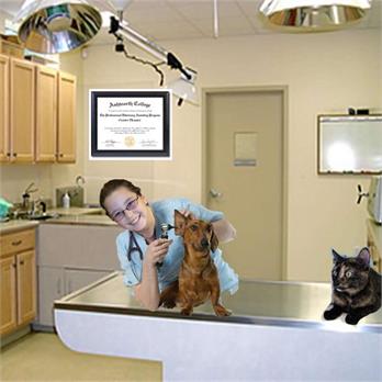 Pet Doctor