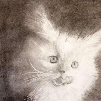 White Cat Face by Riley M.