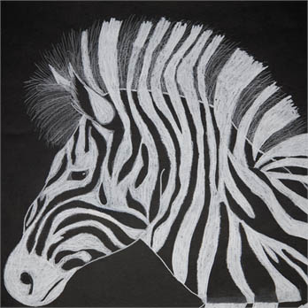 Zebra Stair by Evan Z.